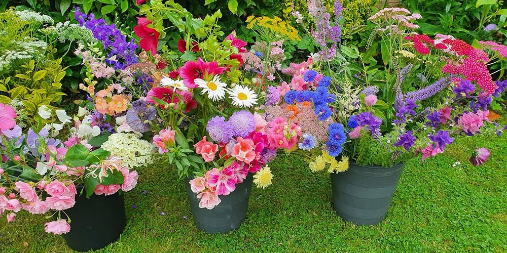 subscription-buckets-of-flowers