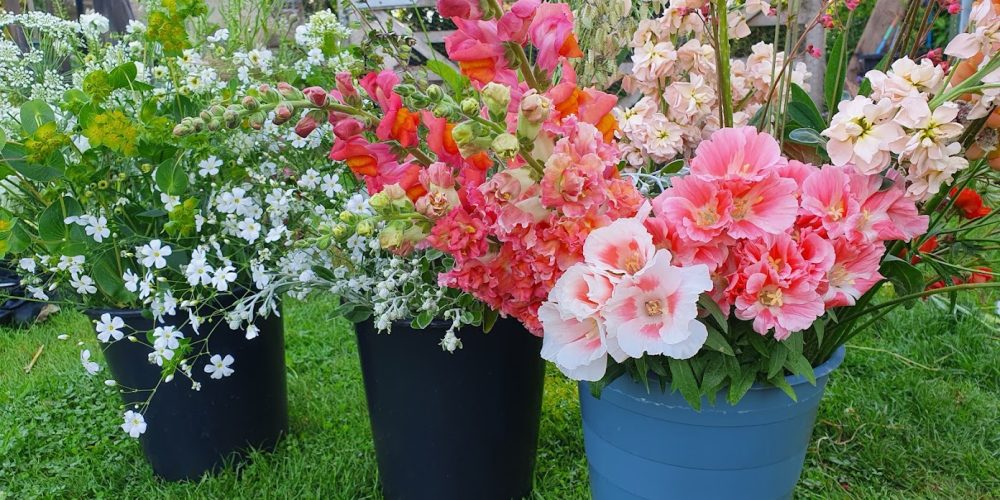 wholesale-flowers-oversley-flowers